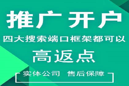 SEM广告创意与执行：成功案例分享